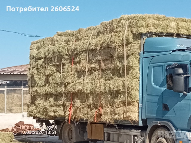 Малки бали сено