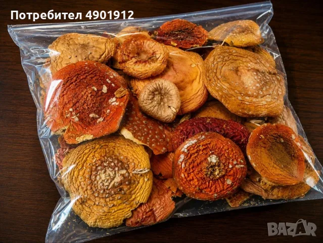 Сушени шапки Червена мухоморка Amanita muscaria, снимка 3 - Други - 55466071