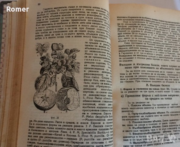 Практическо ръководство по овощарство Стрибърни Основи на парниковото и оранжерийното зеленчукопроиз, снимка 3 - Антикварни и старинни предмети - 34632955