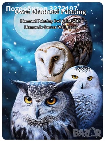 Комплект 5D диамантено пано/картина-рисуване по номера,30х40см., снимка 1