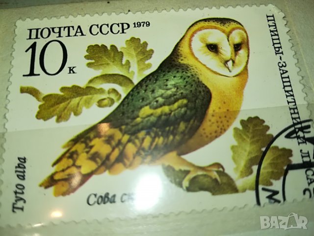 МАРКА 11 1979 СССР 1403231645, снимка 2 - Филателия - 39999118