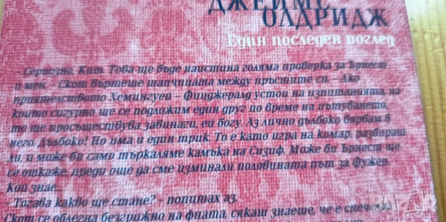 Един последен поглед Кореспонденцията на Хемингуей - Джеймс Олдридж, снимка 2 - Художествена литература - 51094956