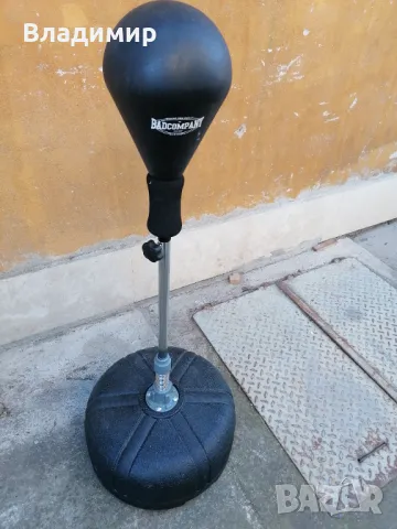 Бърза боксова круша , снимка 1