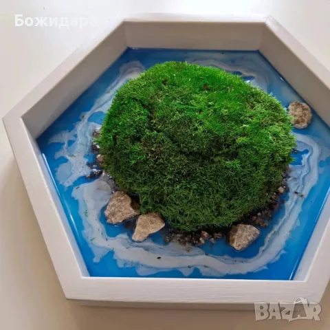 Картини пана със скандинавски мъх и смола, снимка 2 - Картини - 49180231