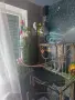 Малък Александър 11 meseca, снимка 2