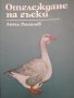 Отглеждане на гъски Ангел Рангелов, снимка 1 - Други - 39754694