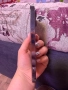 Iphone 13 pro blue, снимка 6