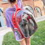 2745 Раница прозрачна капсула носене на кучета или котки, снимка 4