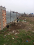 Куче, снимка 1 - Каракачанска овчарка - 44571686