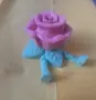 Интересно цвете, снимка 3
