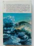 Загадката на Лох Нес - Никълъс Уичъл - 1988г, снимка 4