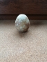 Колекционерско яйце от полускъпоцен камък , снимка 2