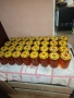 продавам пчелен мед , снимка 2