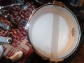 Pearl free floating maple 14x3,5 , снимка 4