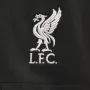 Мъжки шорти Nike Liverpool F.C. 2024/25 Stadium Away FV7037-321, снимка 5