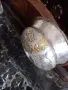 Сребро проба ,999 +позлата ,РЕПЛИКИ.....!!!!, снимка 6