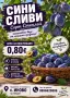 Продавам сини сливи , снимка 1