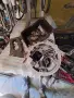 Карбуратор Pierburg 2E за VW Golf & Jetta Mk2 1300см3, снимка 1