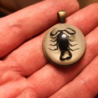 Огърлица с истински скорпион, снимка 1 - Колиета, медальони, синджири - 35771520