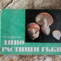 Диворастящи гъби Ръководство за любители гъбари Никола Колев, Афанасий Охапкин, снимка 1 - Енциклопедии, справочници - 44796461