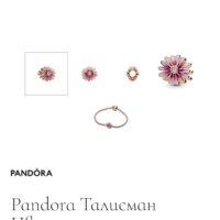  Pandora Талисман Цвете на настроението със синджир на Tiffany&Co , снимка 9 - Колиета, медальони, синджири - 44185946