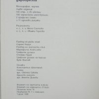 Книга Самоковска възрожденска дърворезба - Валентин Ангелов 2001 г., снимка 6 - Други - 40245603