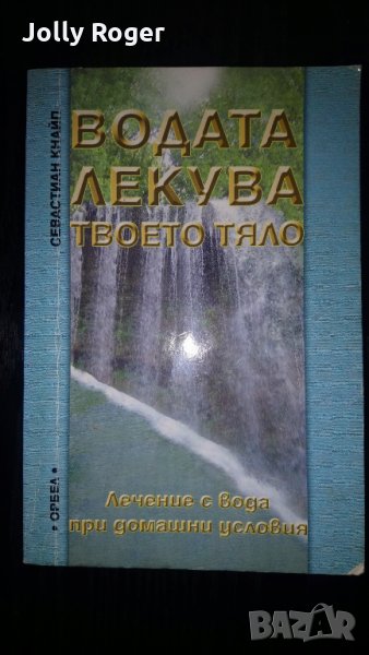 Водата лекува твоето тяло, снимка 1