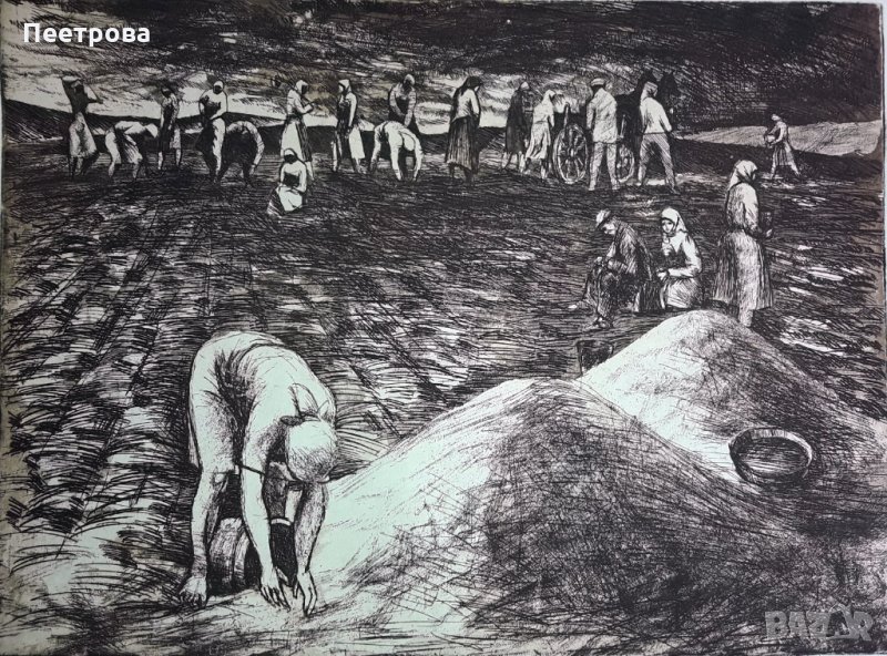 Рисунка върху картон „Сеитба в Добруджа”-1966 год., снимка 1