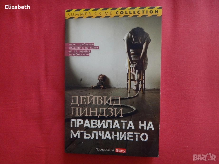 Правилата на мълчанието - Дейвид Линдзи, снимка 1