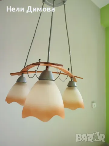 два полилея за 30 лв., снимка 2 - Полилеи - 49330938