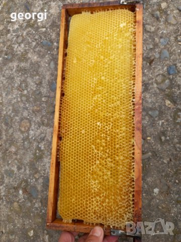 изградени пчелни пити магазинни и фарар, снимка 2 - За пчели - 44472230