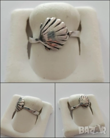 Сребърен пръстен мида