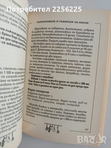 Разпознаване и събиране на билки, снимка 11 - Специализирана литература - 56343986
