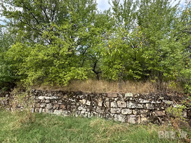 Парцел 1200 кв.м. двор УПИ с. Винище, община Монтана, снимка 3 - Парцели - 48736668