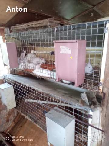 Клетки за зайци, снимка 3 - За селскостопански - 53436715