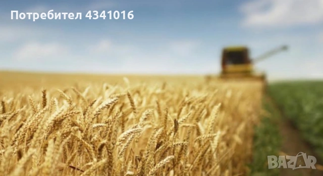 Купувам Земеделска Земя