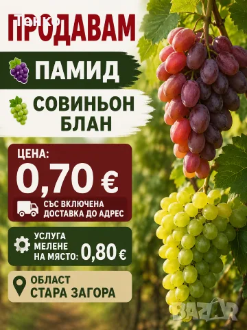 Продавам грозде!