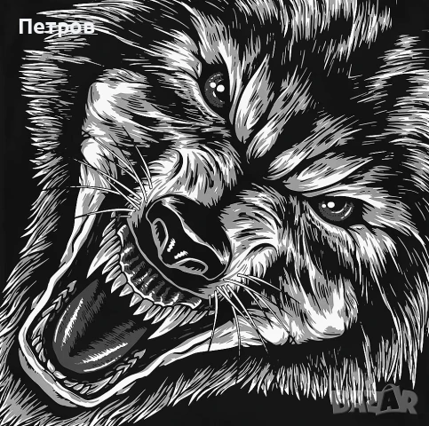 Хамзат Чимаев - BORZ Оригинален тишърт, снимка 2 - Тениски - 51385488