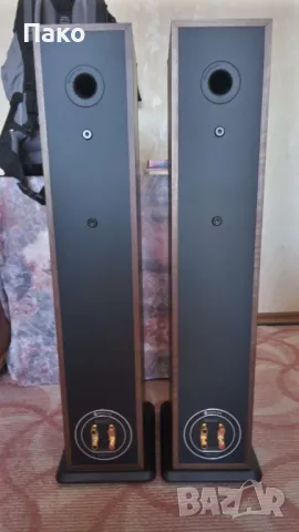 Тонколони Monitor Audio Bronze 5, снимка 6 - Тонколони - 50062016