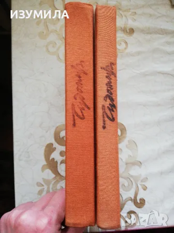 Чудомир - Съчинения в три тома :Том 1 и Том 2 Разкази и фейлетони, снимка 2 - Българска литература - 48980622