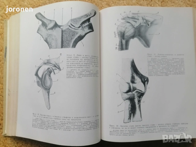 "Анатомия на човека” Проф.С.Моров  , снимка 4 - Учебници, учебни тетрадки - 53295473
