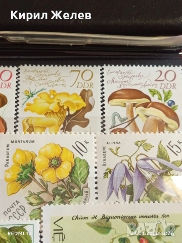 Стари пощенски марки от цял свят смесени ЦВЕТЯ,ГЪБИ за КОЛЕКЦИОНЕРИ 52012, снимка 6 - Филателия - 53198174