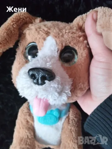 Интерактивно куче FurReal Friends Chatty Charlie/Benni Hasbro говорещ бигъл Чарли/Бени , снимка 2 - Музикални играчки - 48464858