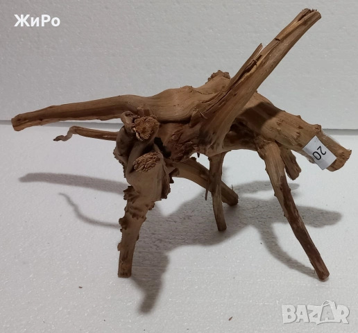 Корен от Азалия /декорация/ 20, снимка 4 - Други - 48936464