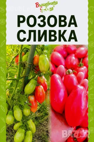 Семена от нехибридни сортове , снимка 4 - Сортови семена и луковици - 56155541