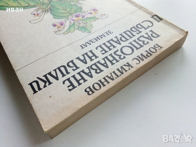 Разпознаване и събиране на билки - Борис Китанов - 1987г., снимка 12 - Енциклопедии, справочници - 53281460