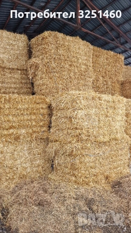 Слама Овес , снимка 4 - За селскостопански - 51519387