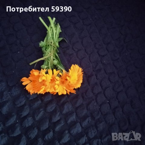 Мехлем от невен, индрише,алое, снимка 3 - Други - 41423035