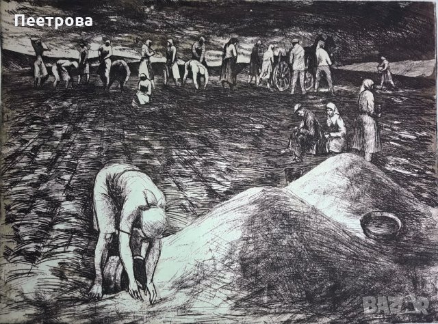 Рисунка върху картон „Сеитба в Добруджа”-1966 год., снимка 1 - Колекции - 33973493