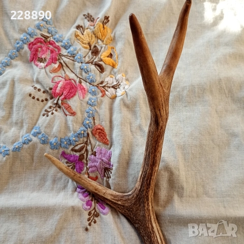 Еленов рог , снимка 4 - Антикварни и старинни предмети - 52639474